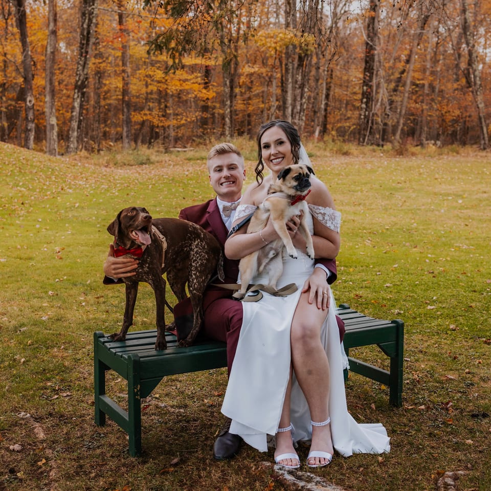 A newlywed couple sits on a bench with their two dogs in a fall forest setting.